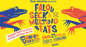 sabato 31 luglio 2021: Noche Afrodelica @ Parco Prandina, Padova